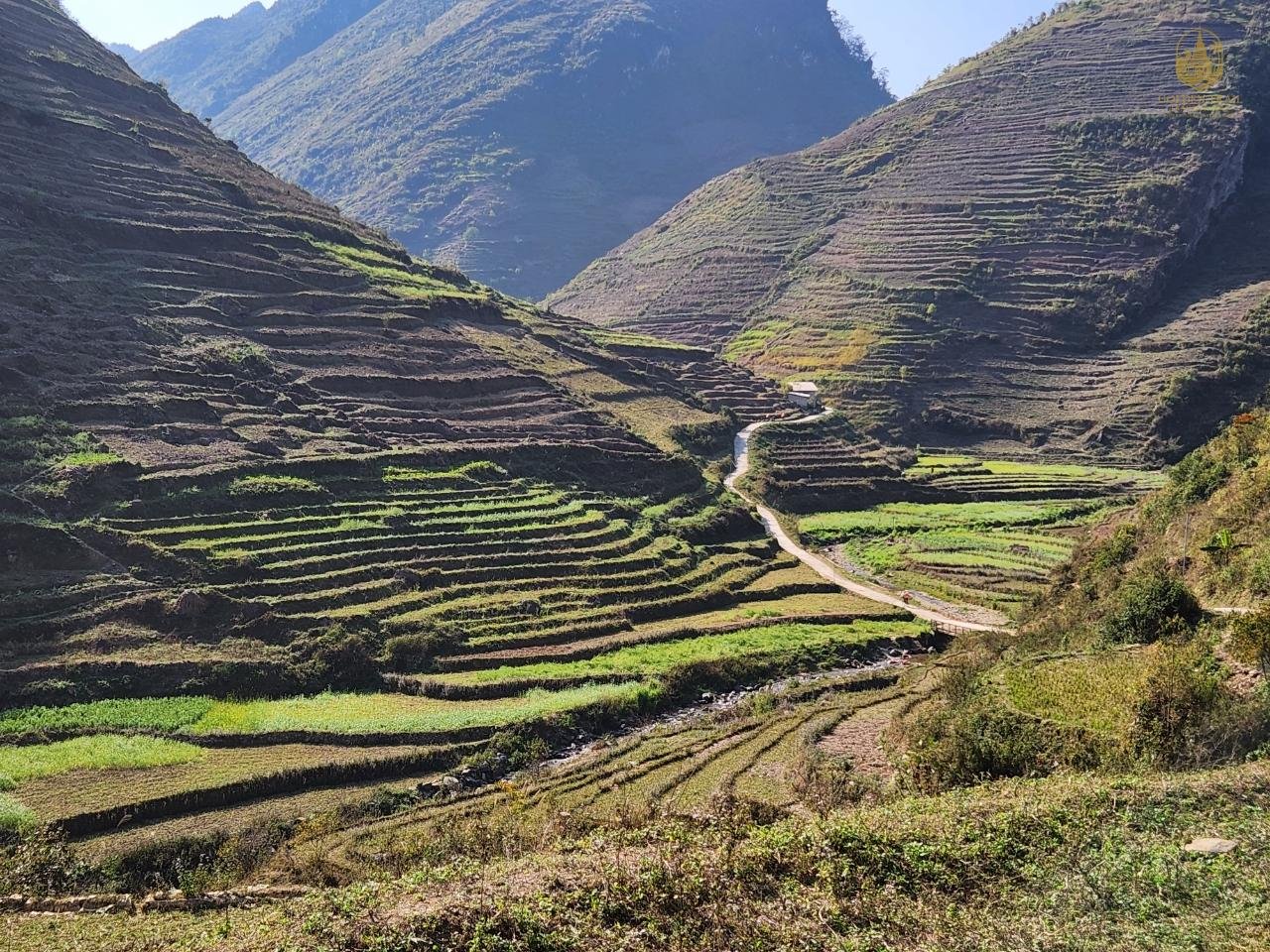 The Odyssey of the Pedals: A Guide to Multi-Day Bike Tours in Vietnam
